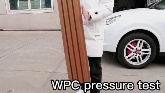 China Factory WPC Co-Extrusions-Verkleidungsplatte WPC-Lattenverkleidung Great Wall Panel